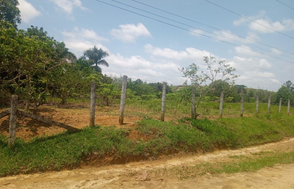 properties