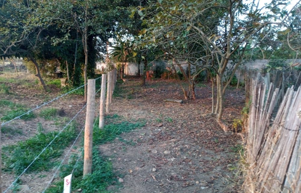 properties